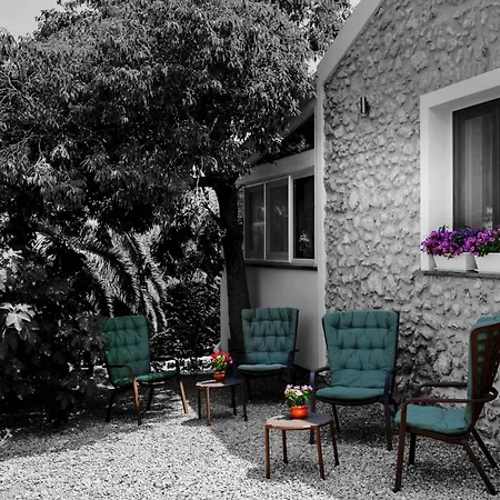 Giallo Ficodindia 3*