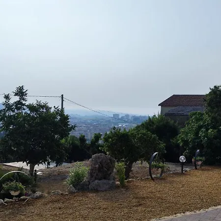 Giallo Ficodindia Canicattì